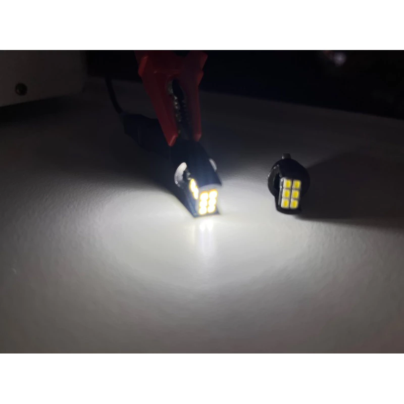 【高總裁LED 】台灣現貨 LED 室內燈 雙尖 T10 方向燈 車門燈 閱讀燈 腳底燈 12V 24V 車燈