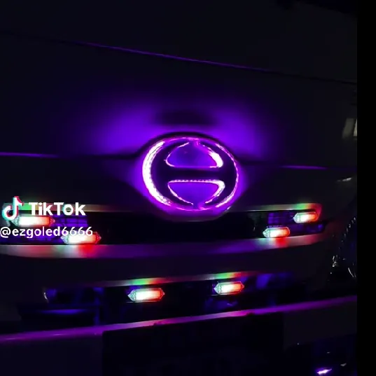 幻彩越野中網燈