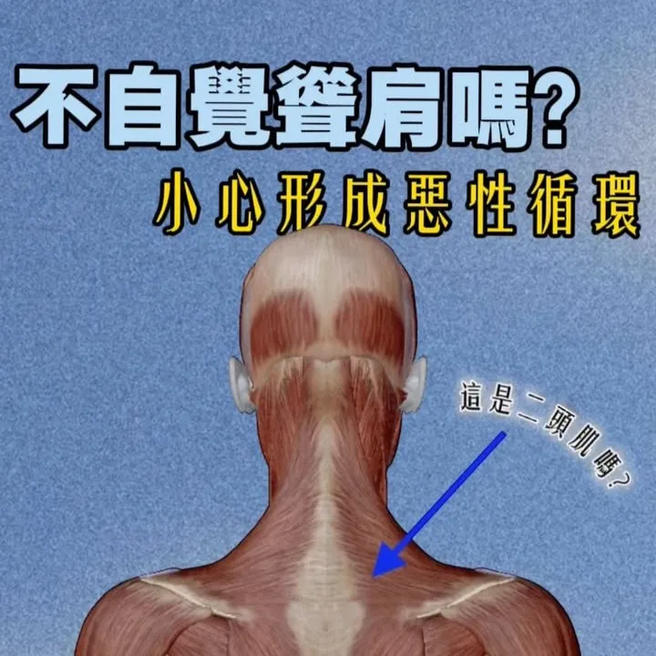 大家的腦袋需要高效運轉，身體有個地方卻拖累。