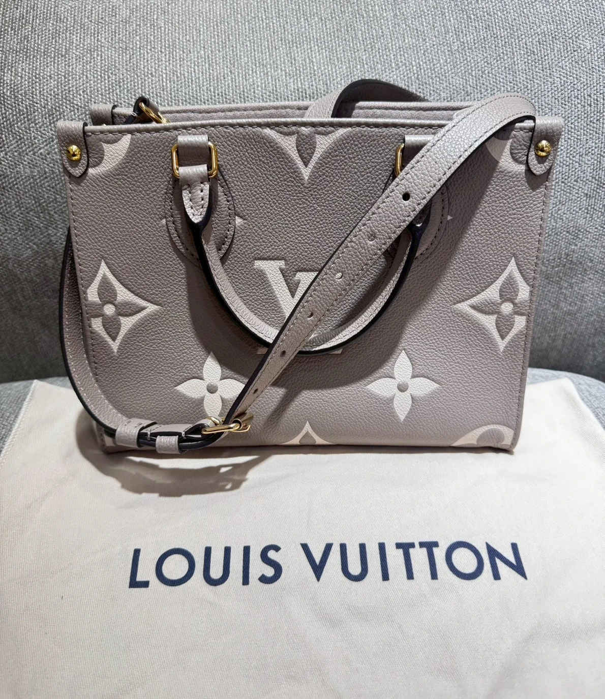 Louis Vuitton 斑鳩灰PM ON-The-Go晶片款