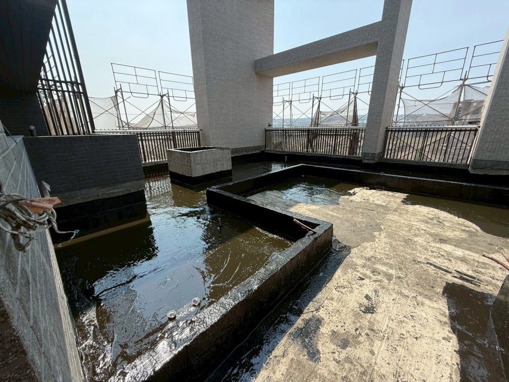 南屯區 屋頂PU防水施做