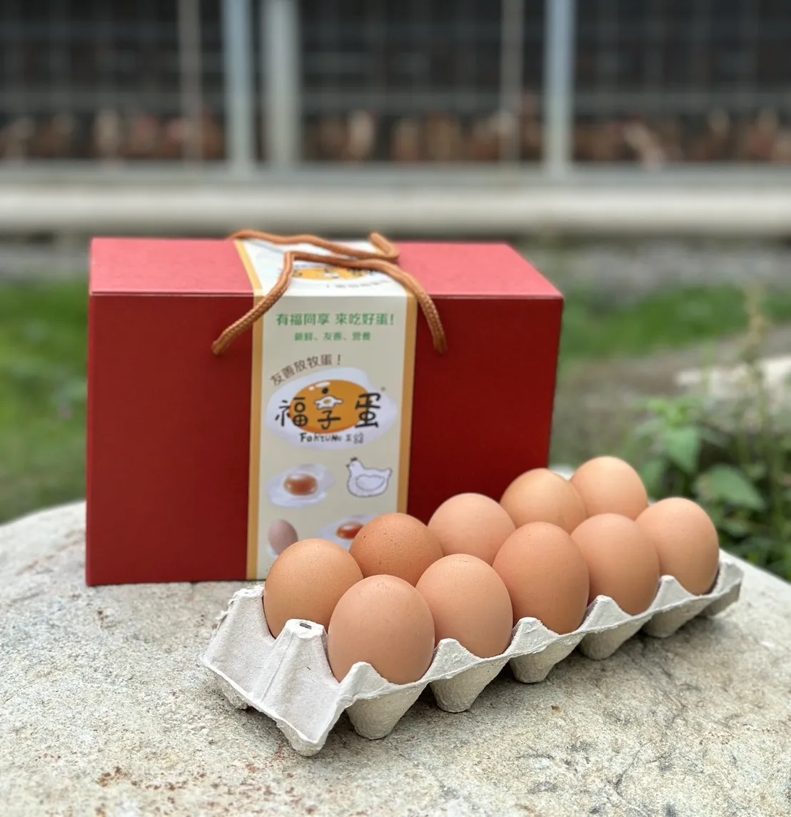 【台中限定】友善飼養福享蛋  20入/箱