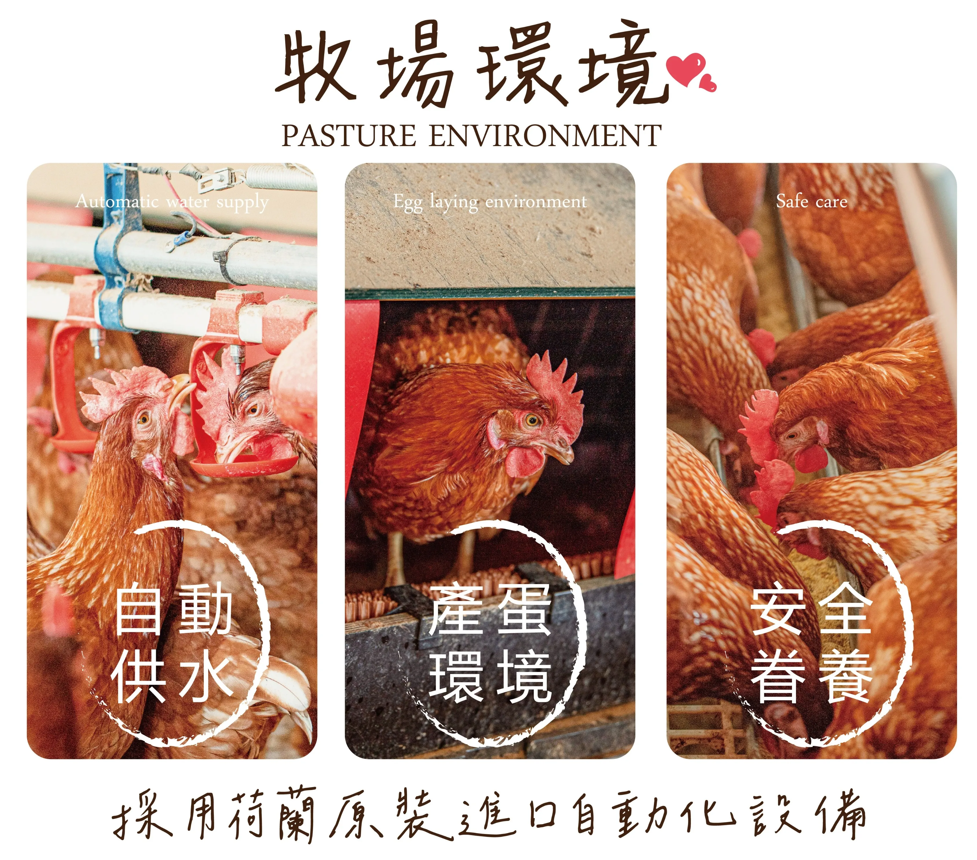 【宅配】友善飼養福享蛋40入