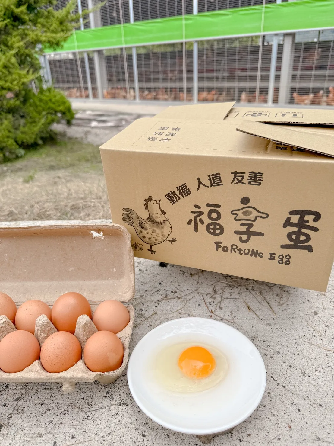 【宅配】友善飼養福享蛋40入