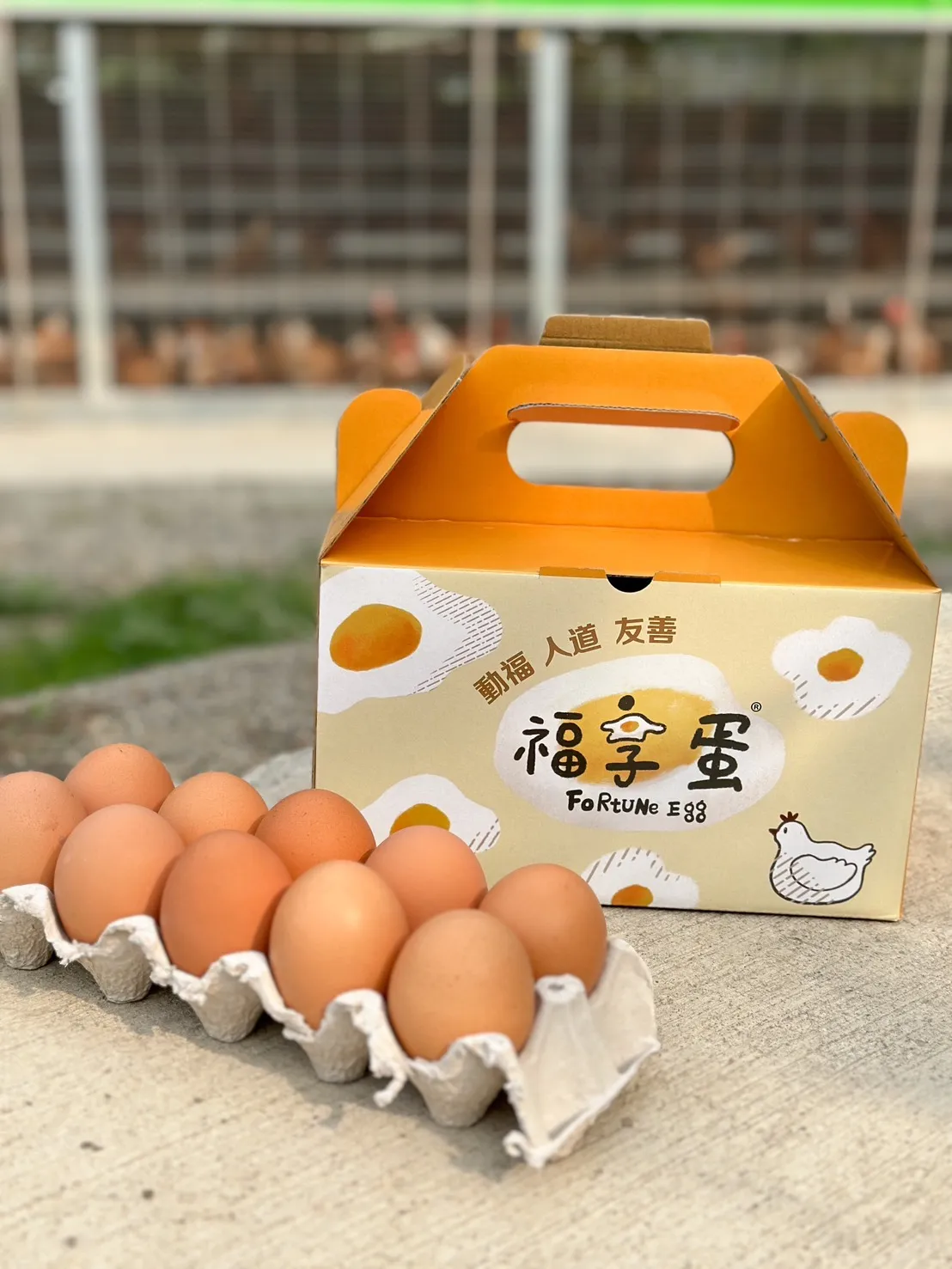 【台中限定】友善飼養福享蛋  30入/箱