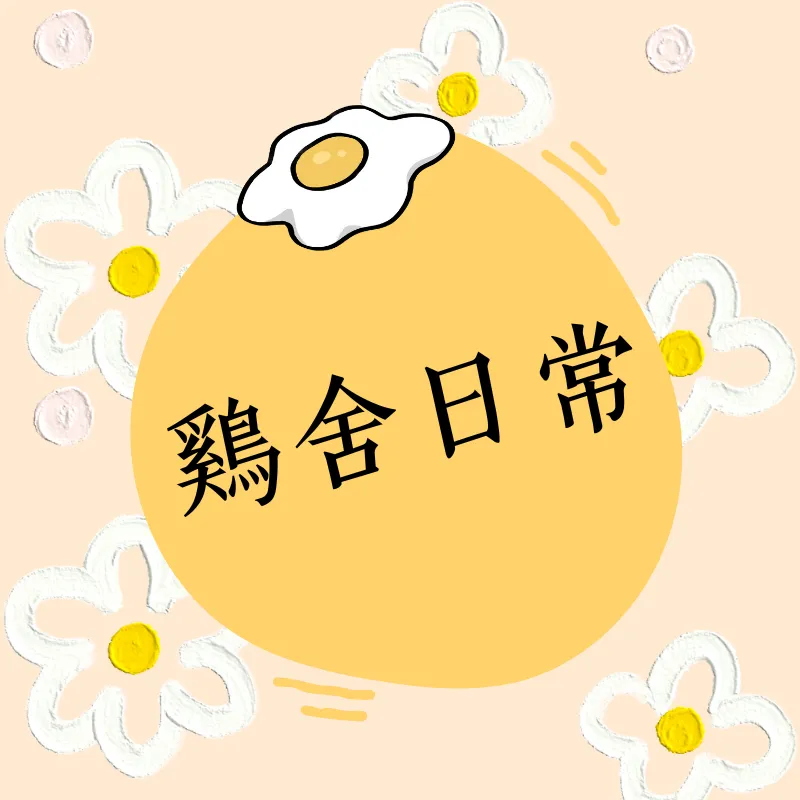 鷄舍日常