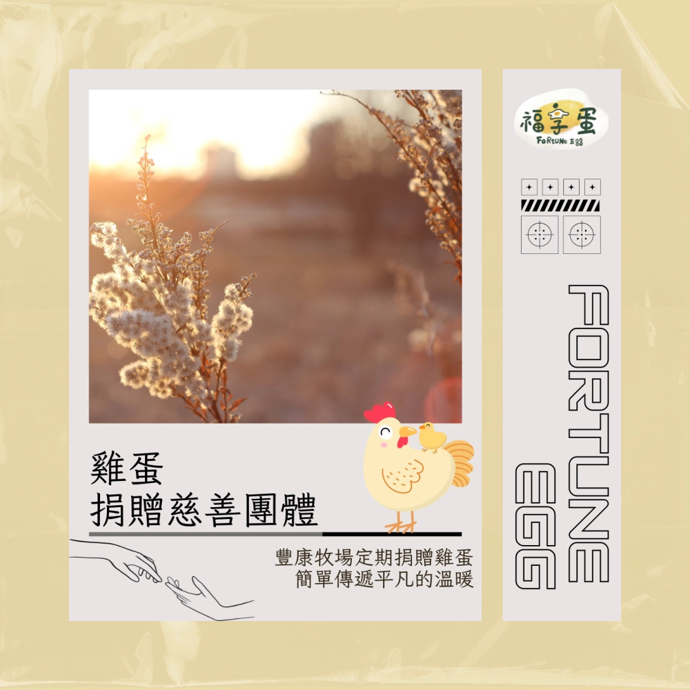 雞蛋公益捐贈