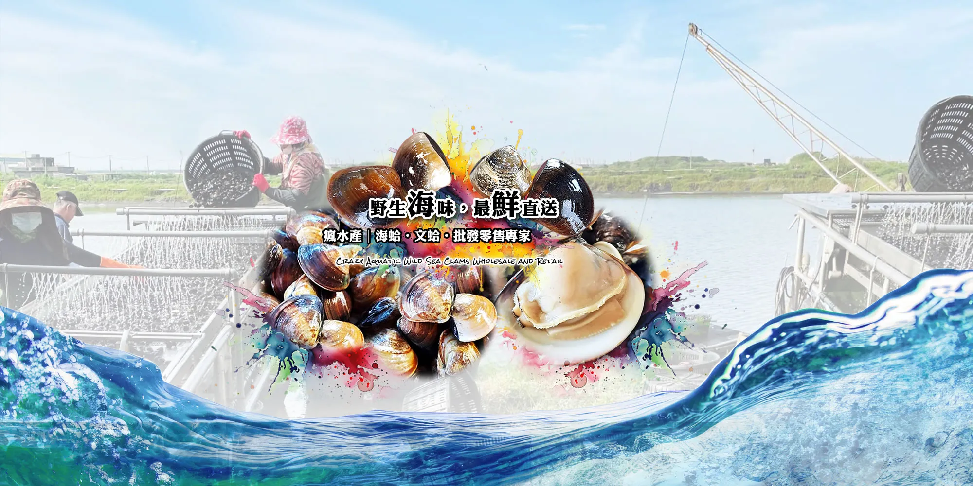 瘋水產野生海蛤文蛤赤嘴批發零售-海鮮批發,嘉義海鮮批發,東石鄉海鮮批發商,水產批發,嘉義水產批發商,東石鄉水產批發商