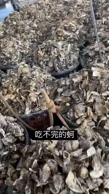 吃不完的蚵