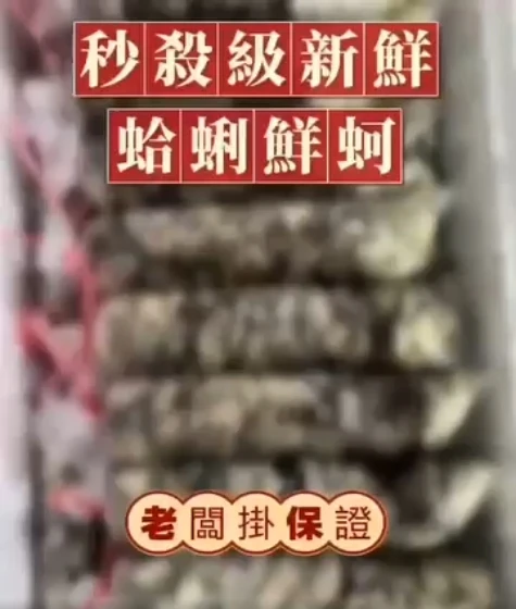 老闆掛保證，秒殺級新鮮到貨！嘉義蛤蜊、鮮蚵，專業店家都在搶啦