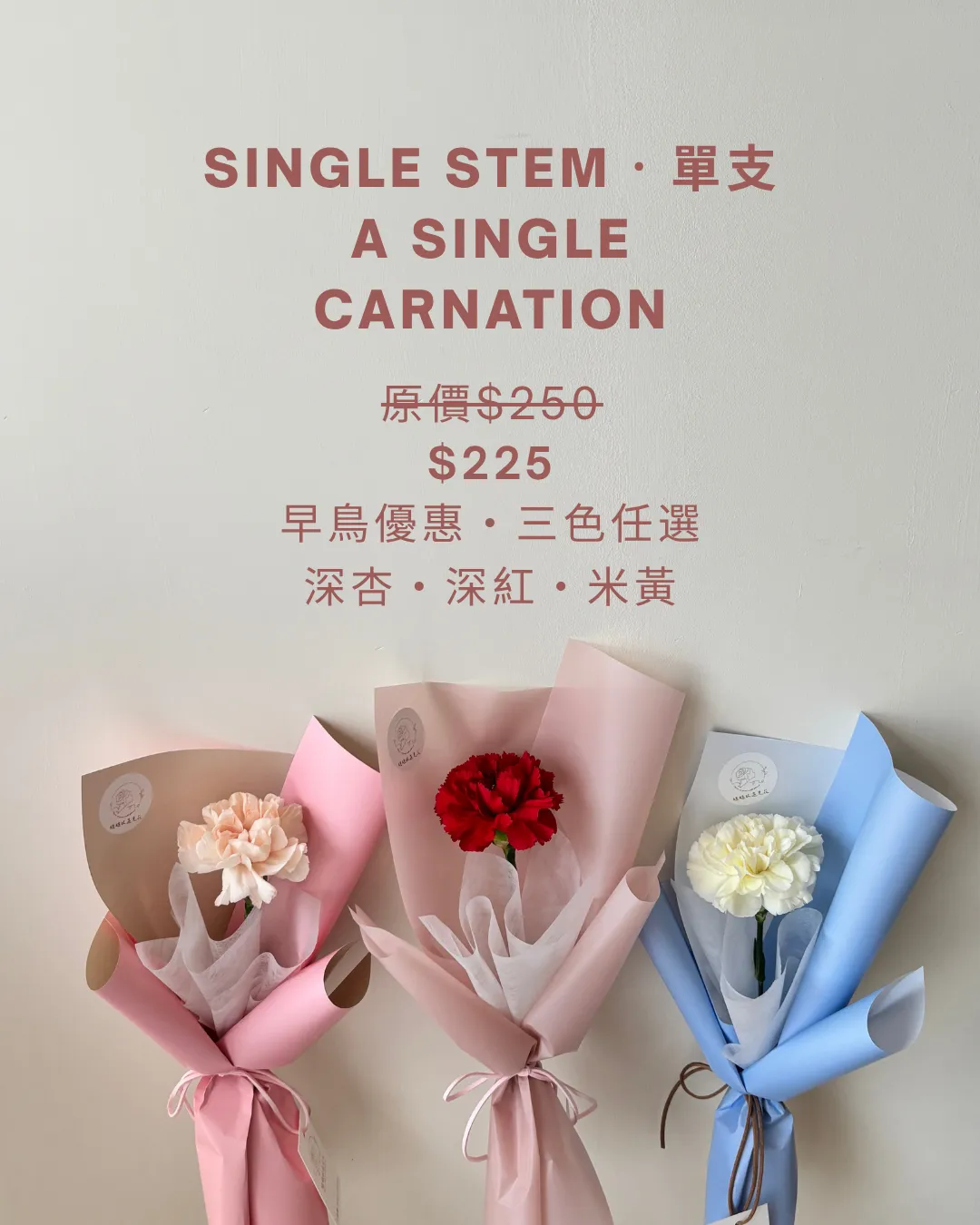 母親節花禮｜單枝康乃馨