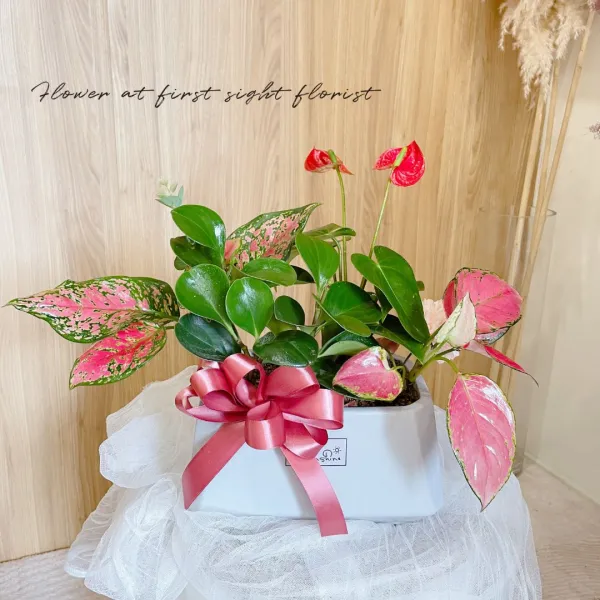 植栽設計作品