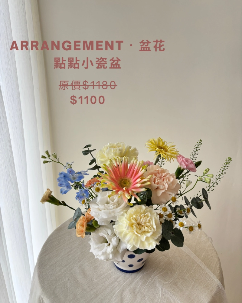 母親節花禮｜小盆花