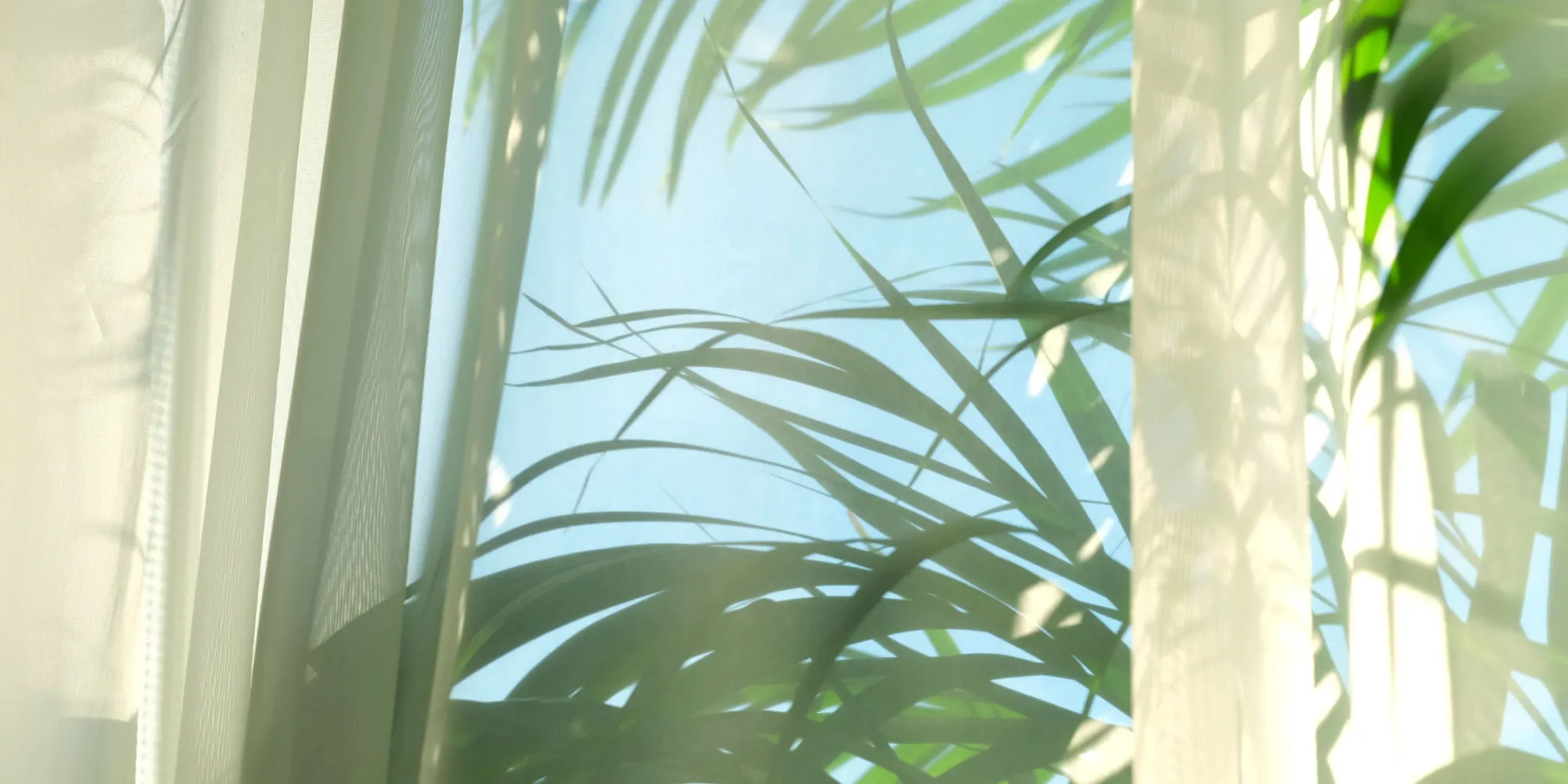 第一環衛石材美容