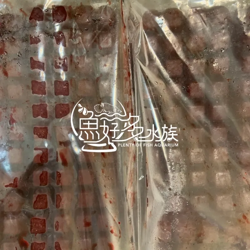 缺很久的冷凍紅蟲到貨囉