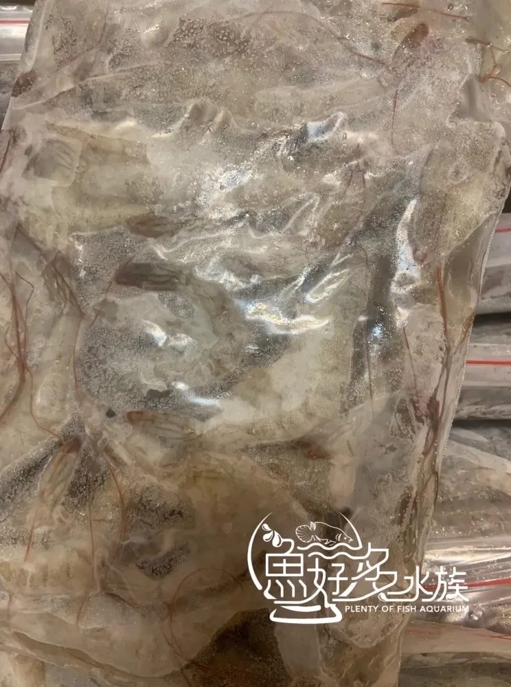 冷凍白蝦