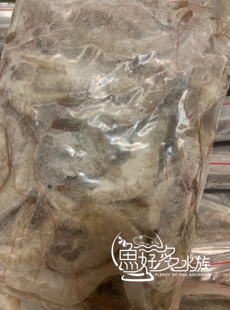 冷凍白蝦