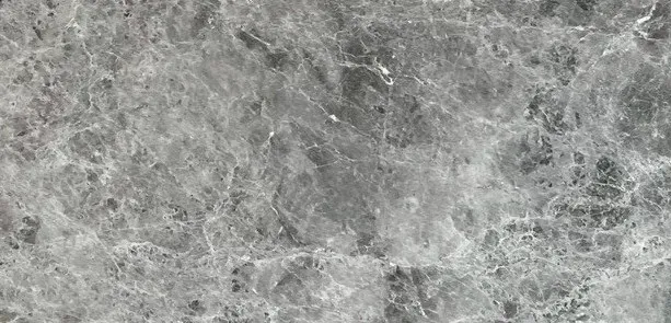 義大利灰 3829 #57