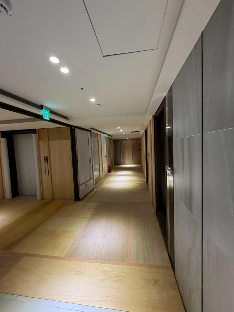 大樓梯廳保護工程3