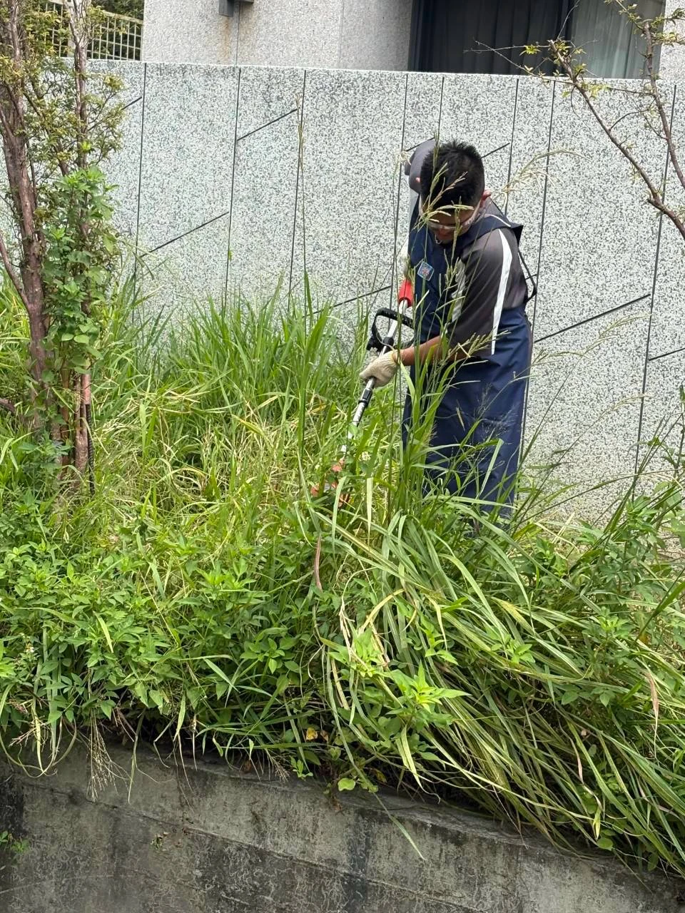 台中社區除草工程