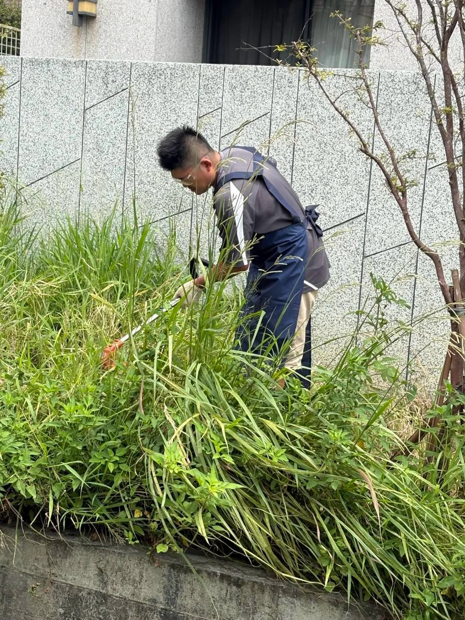 台中社區除草工程