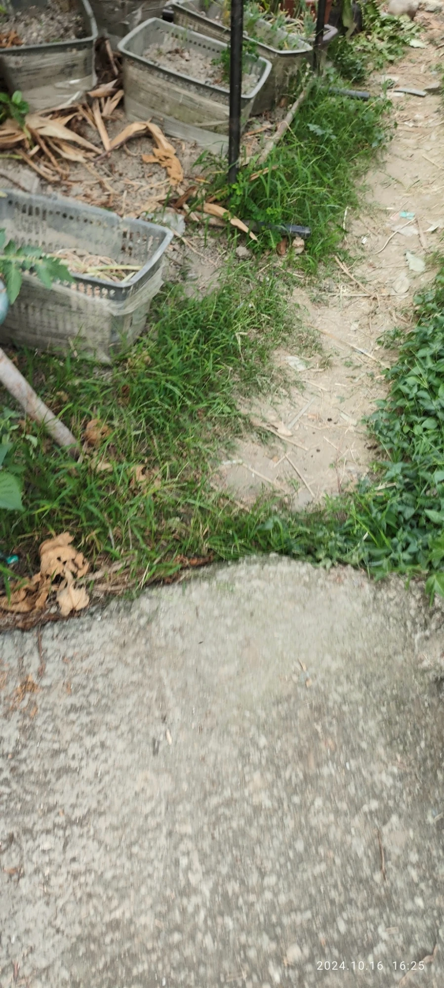 台中環境整理與拆除清理