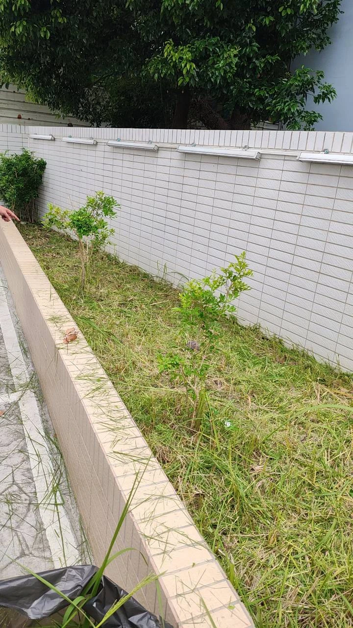 台中社區除草工程