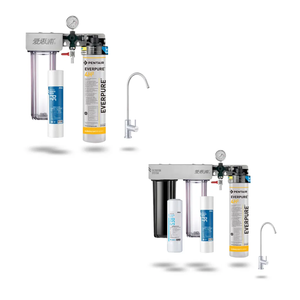 愛惠浦 PurVive-4H2 淨水設備