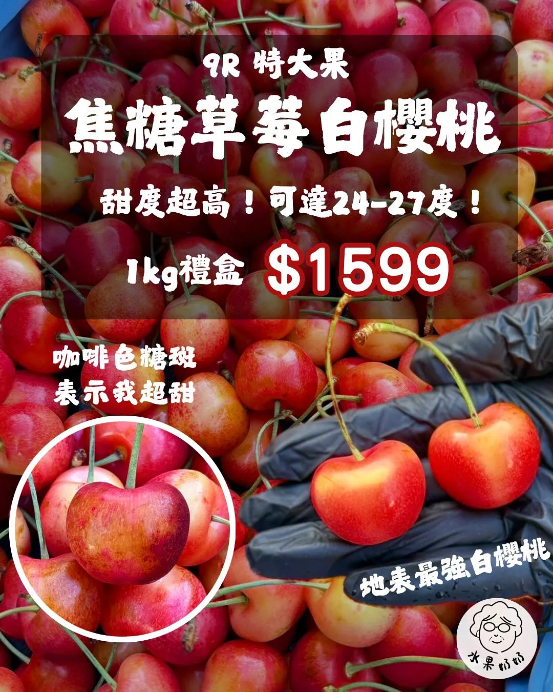 【地表最強白櫻桃】