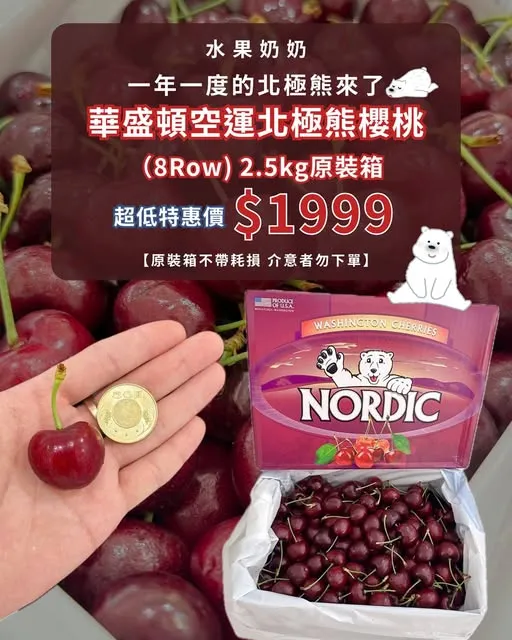 一年一度的北極熊來報到！