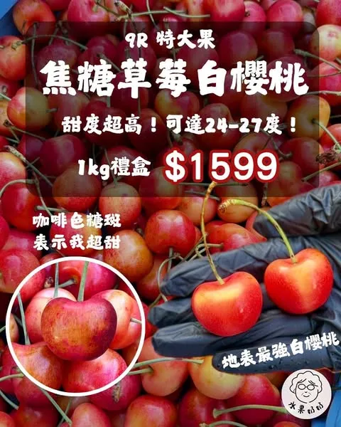 【華盛頓空運櫻桃大集合】