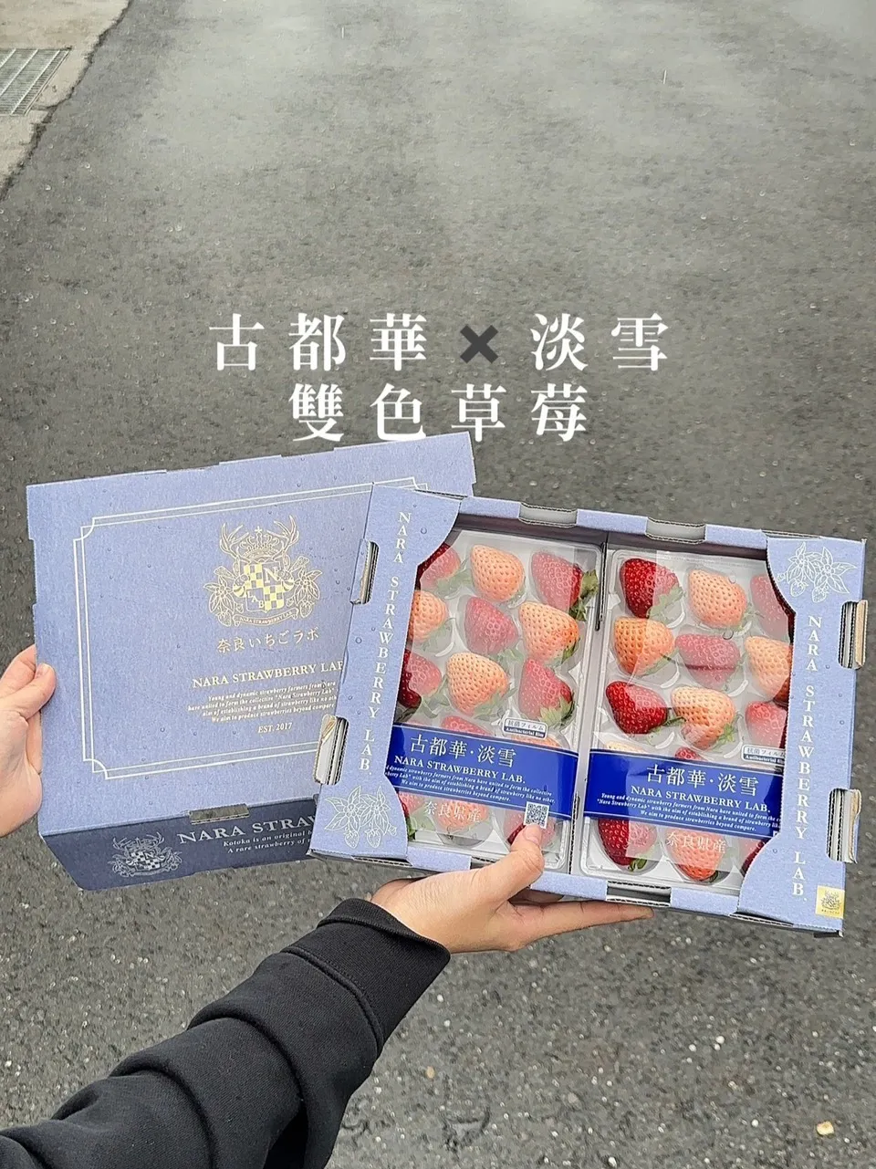 日本 奈良縣雙色草莓(古都華+淡雪)