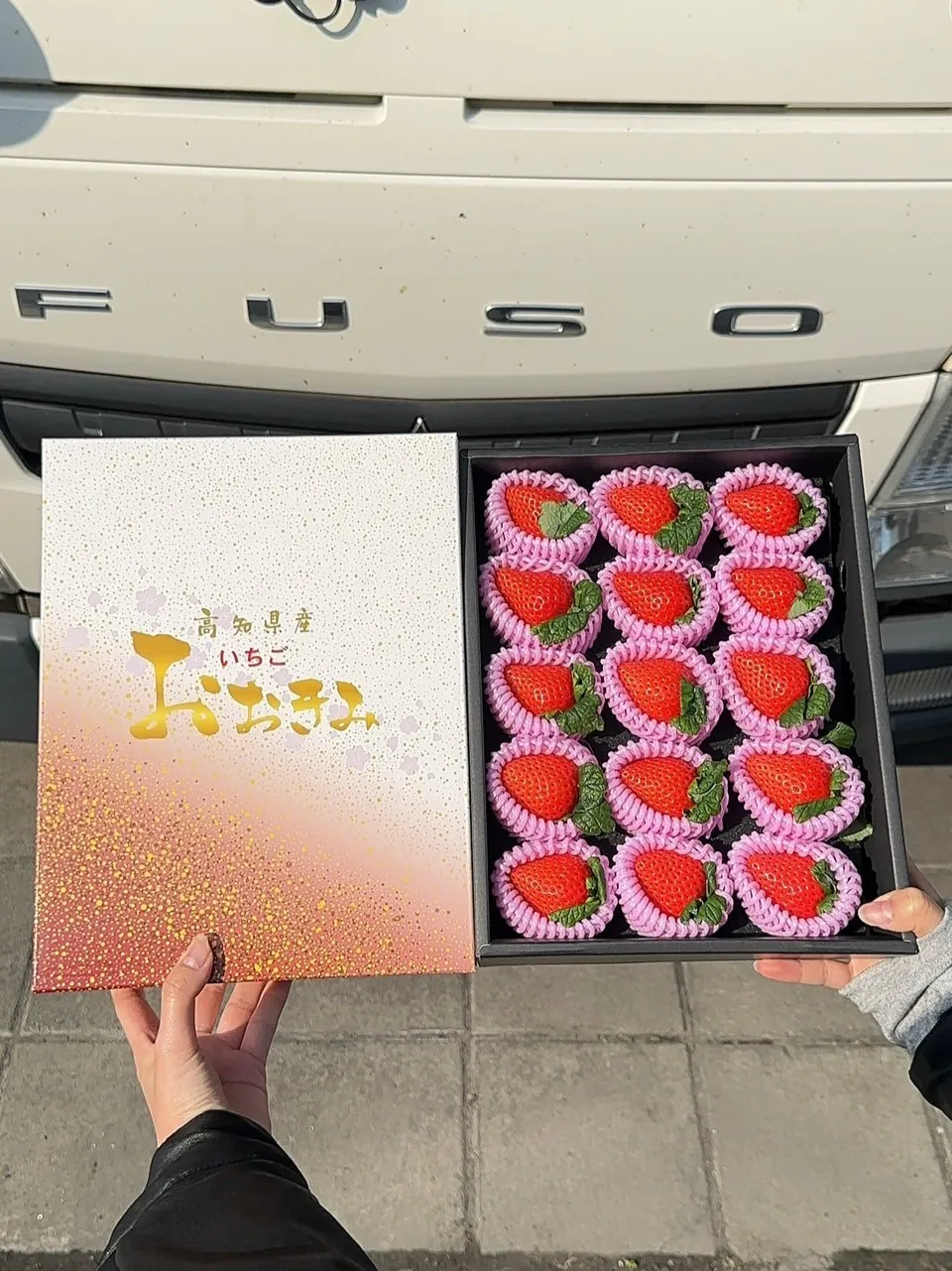 高知縣 大妃美草莓