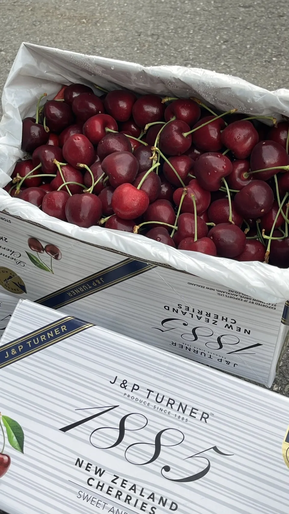 紐西蘭 1885空運櫻桃