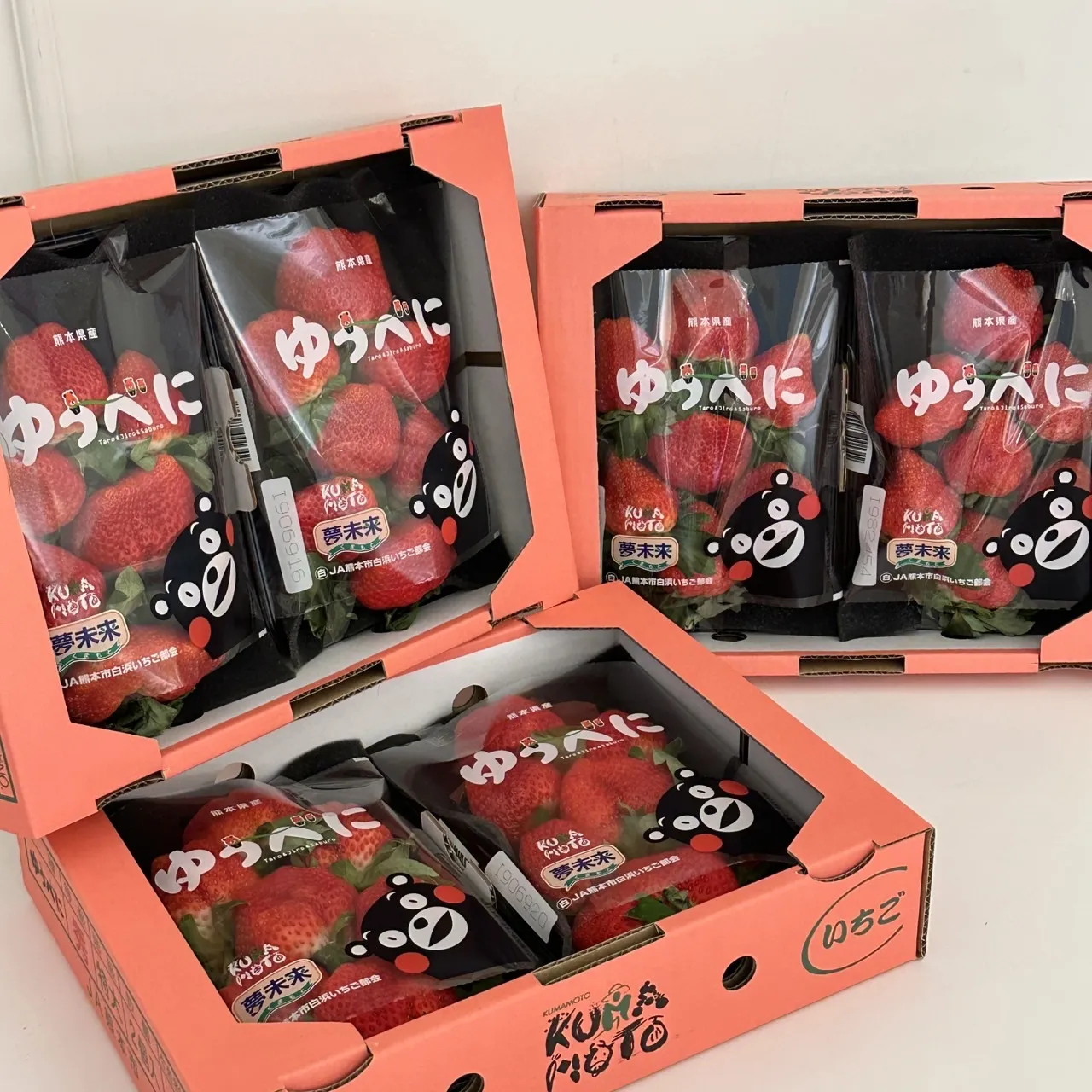日本熊本草莓