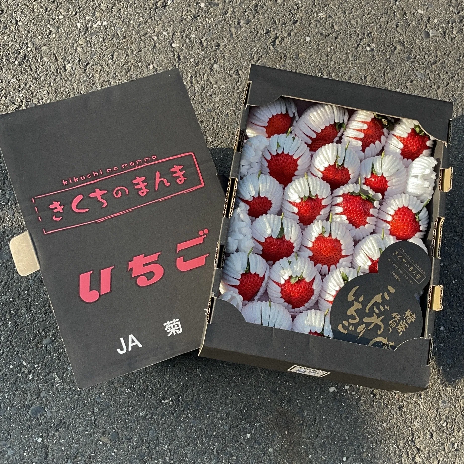 日本菊池黑盒糖蜜草莓