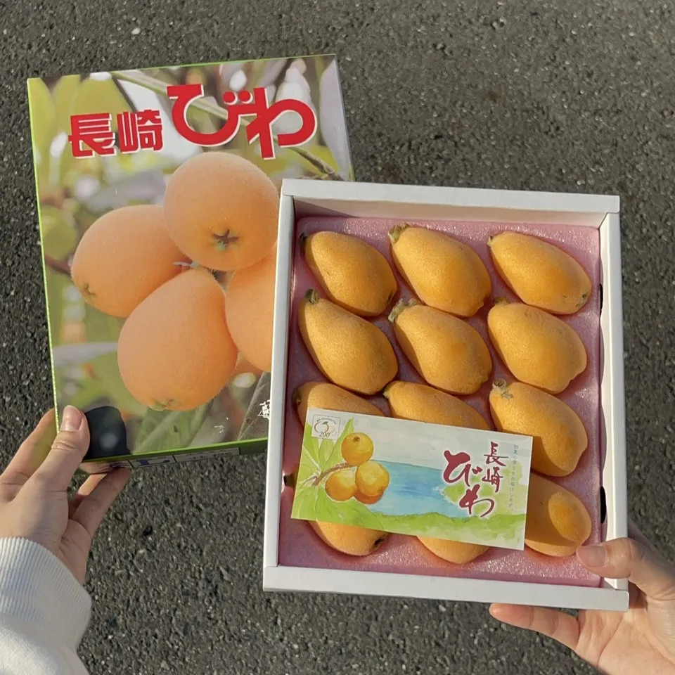 長崎縣枇杷禮盒