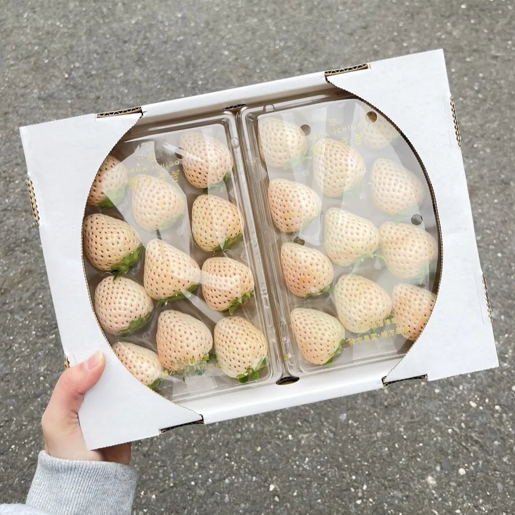 日本佐賀雪兔白草莓