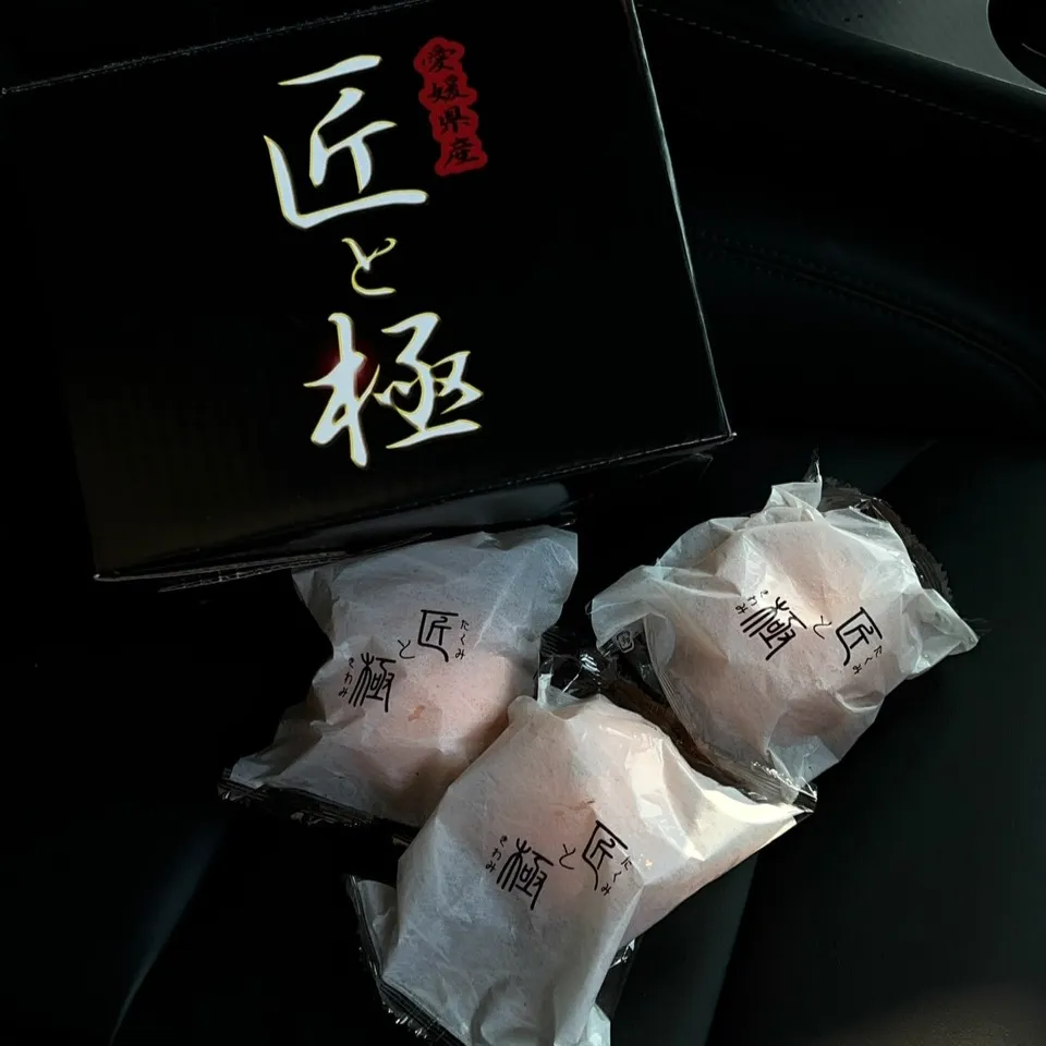 日本愛媛縣匠極西多加