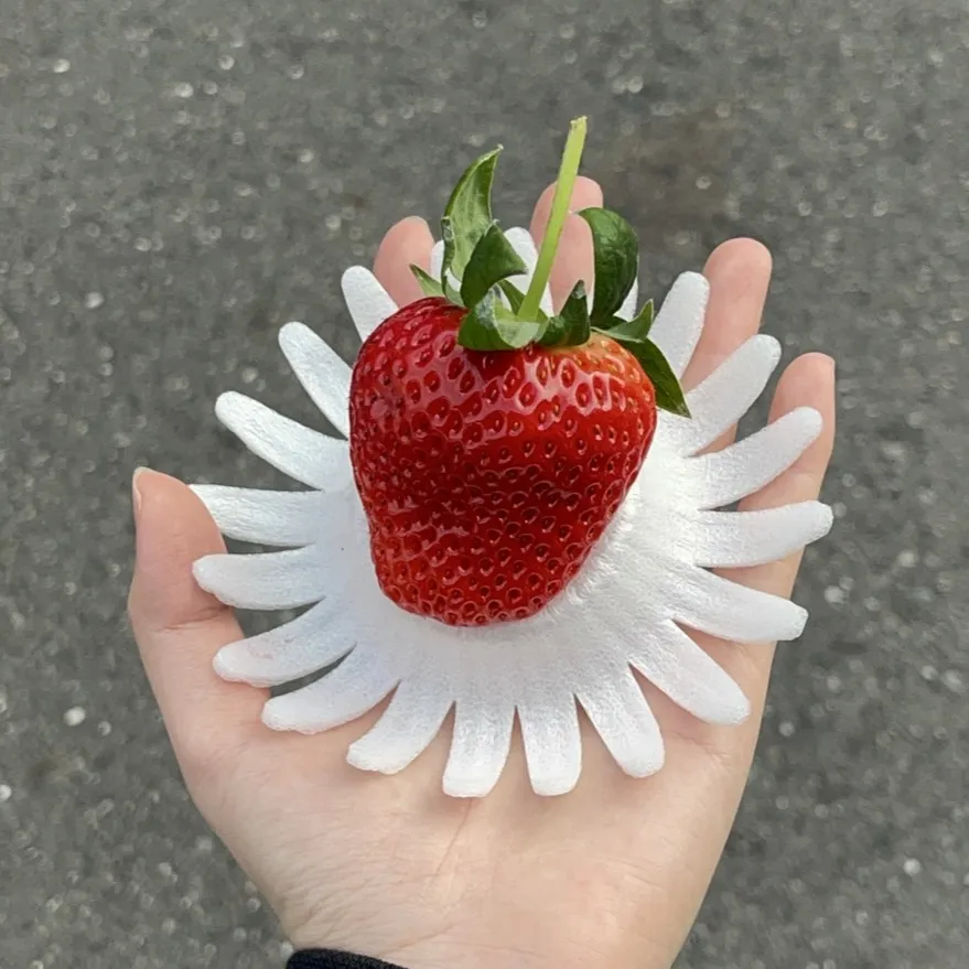 日本德島勝占糖蜜草莓