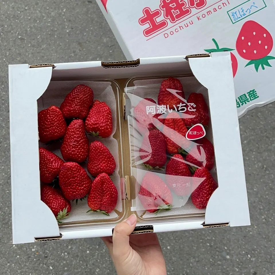 德島土柱小町紅臉頰草莓