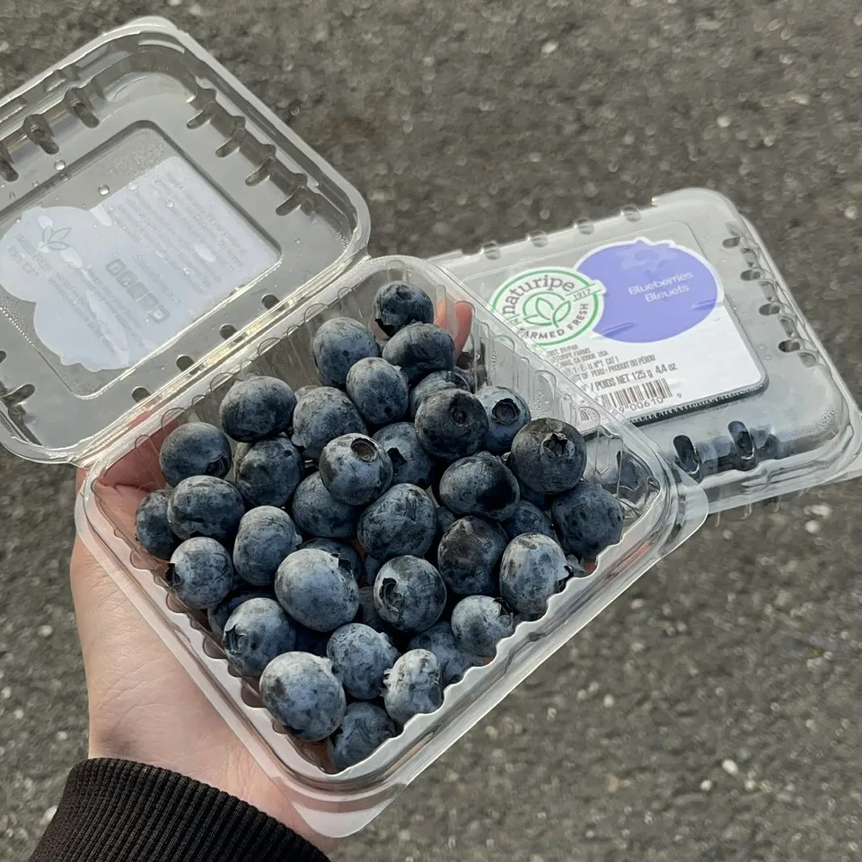 (智利/祕魯)超甜藍莓