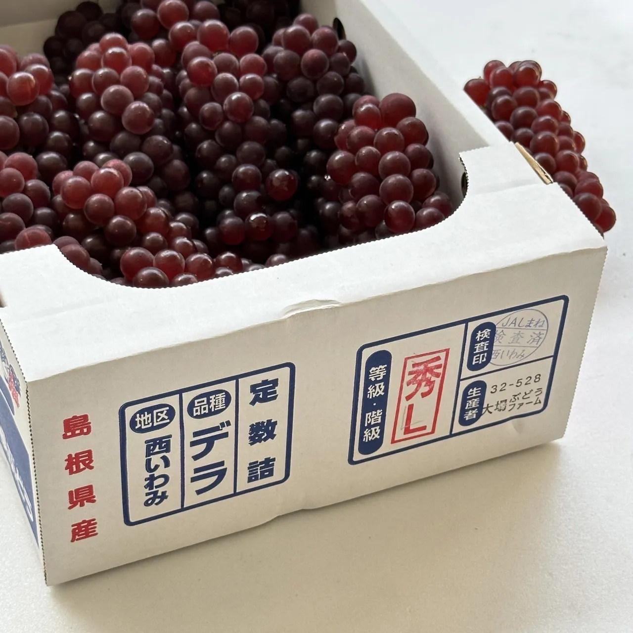 日本島根縣珍珠葡萄