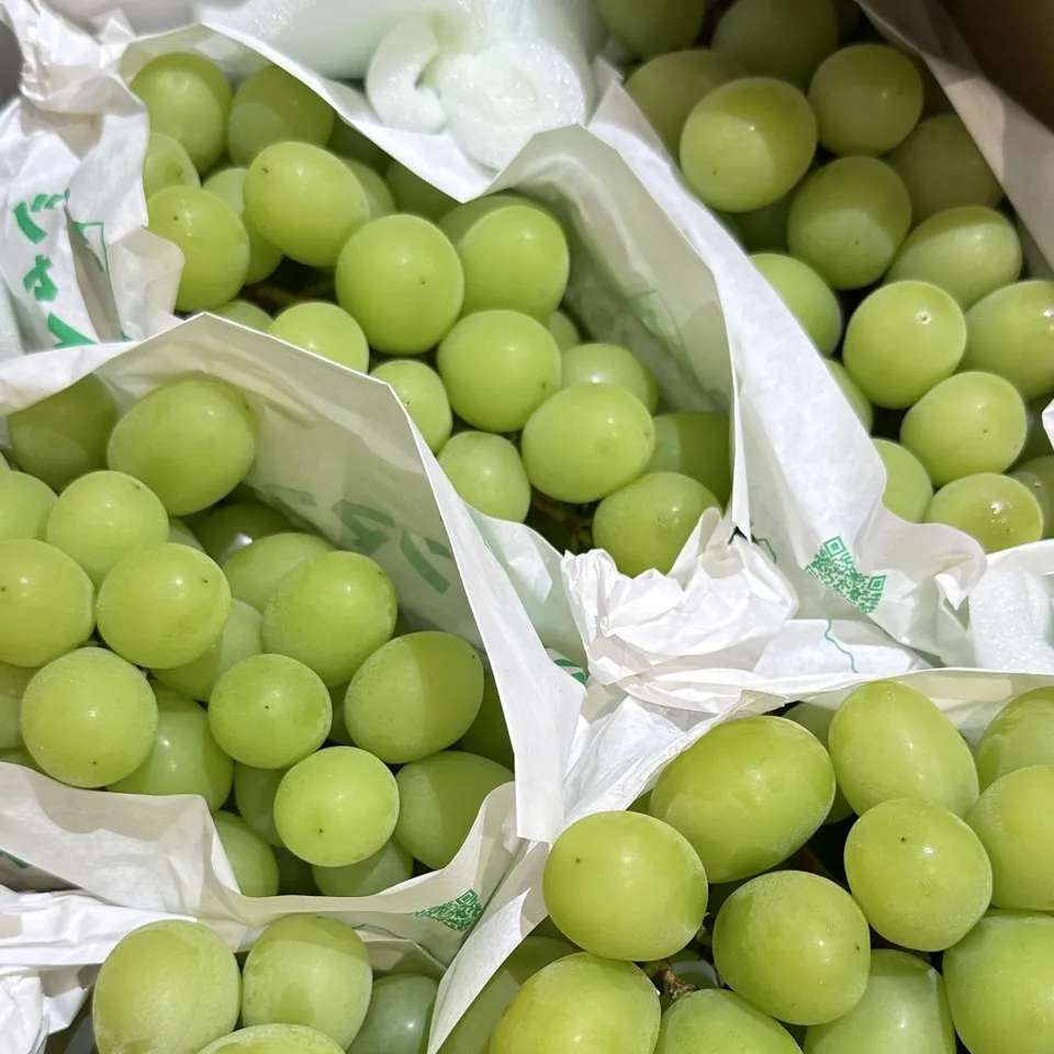 日本山梨縣笛吹麝香葡萄