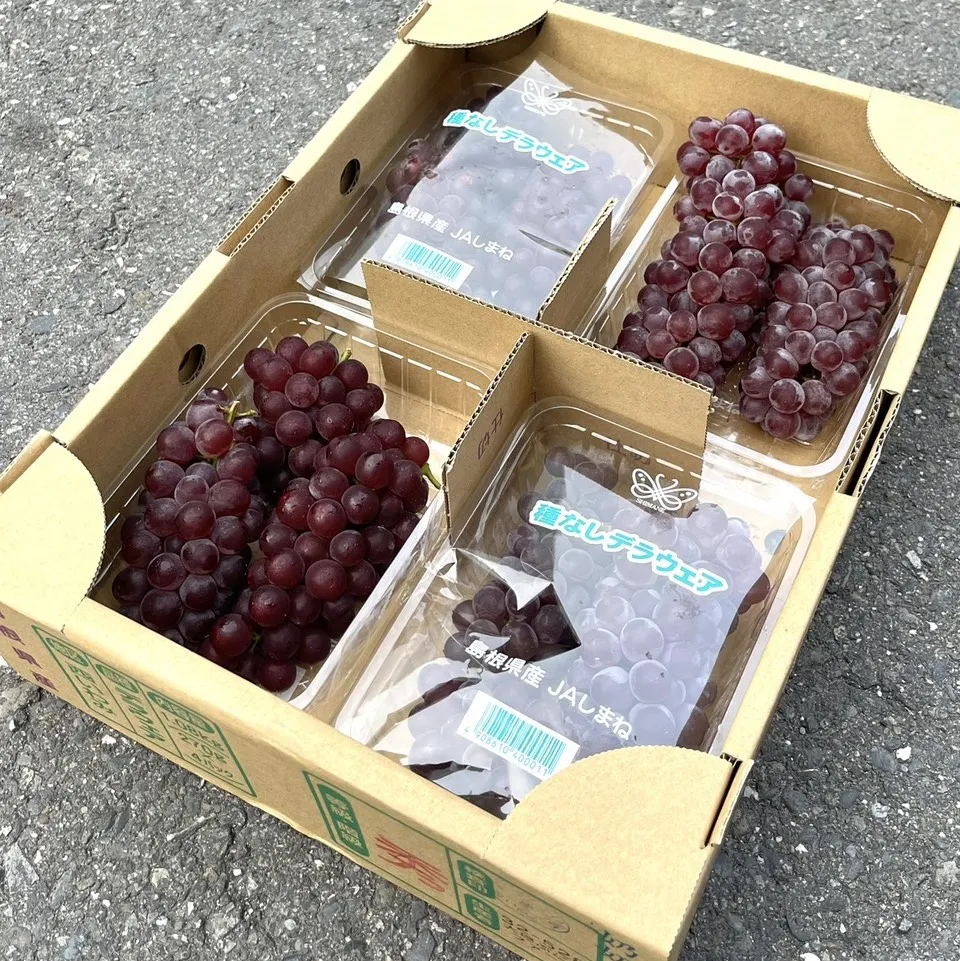 日本島根縣珍珠葡萄 原封箱4PE盒