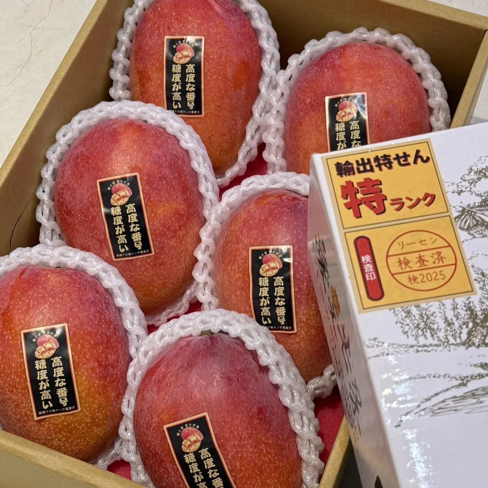 【台灣版太陽之子】艷之夏愛文芒果