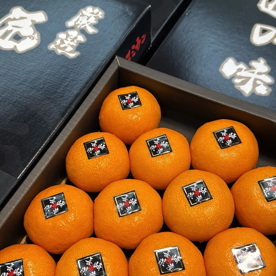 長崎縣匠の味蜜柑禮盒
