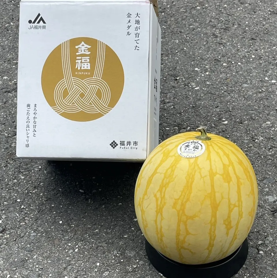 日本福井縣金福西瓜