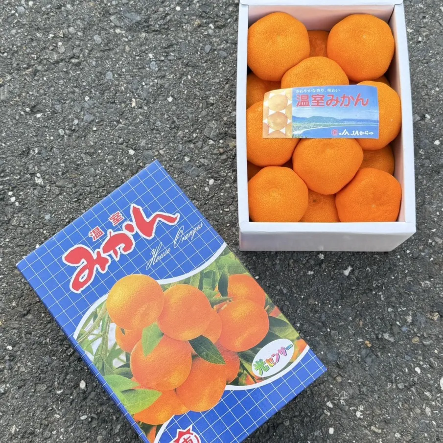 日本佐賀縣 東蜜柑禮盒
