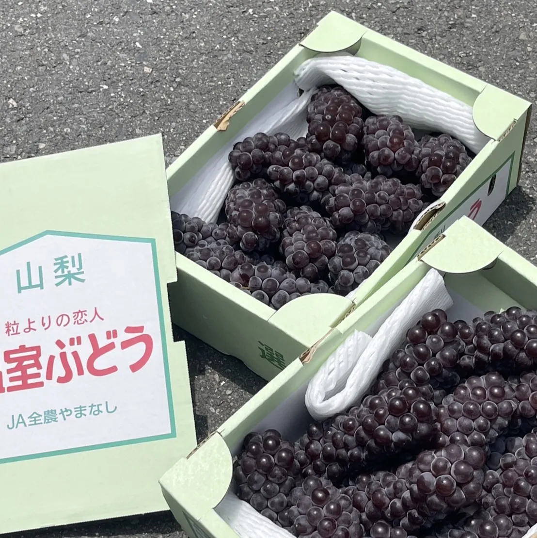 日本山梨縣珍珠葡萄